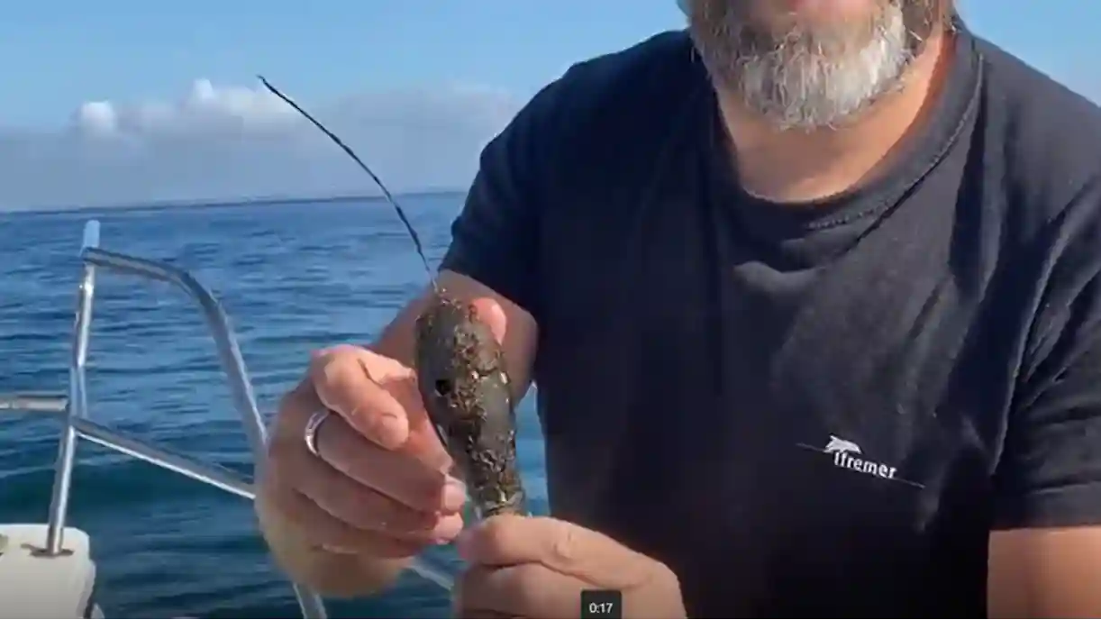 Suivie par balise ARGOS - MTR