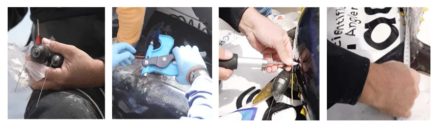 Marquage d'un thon - MTR